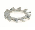 M6 External Star Lock Washer