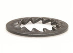 M10 Internal Star Lock Washer (SF504-1028)