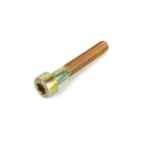 Bolt for Cam Cap Vespa GTS