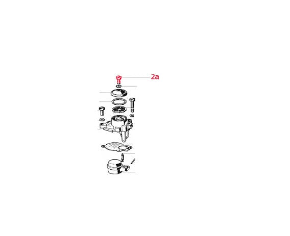 Fuel Filter Cover Top Screw