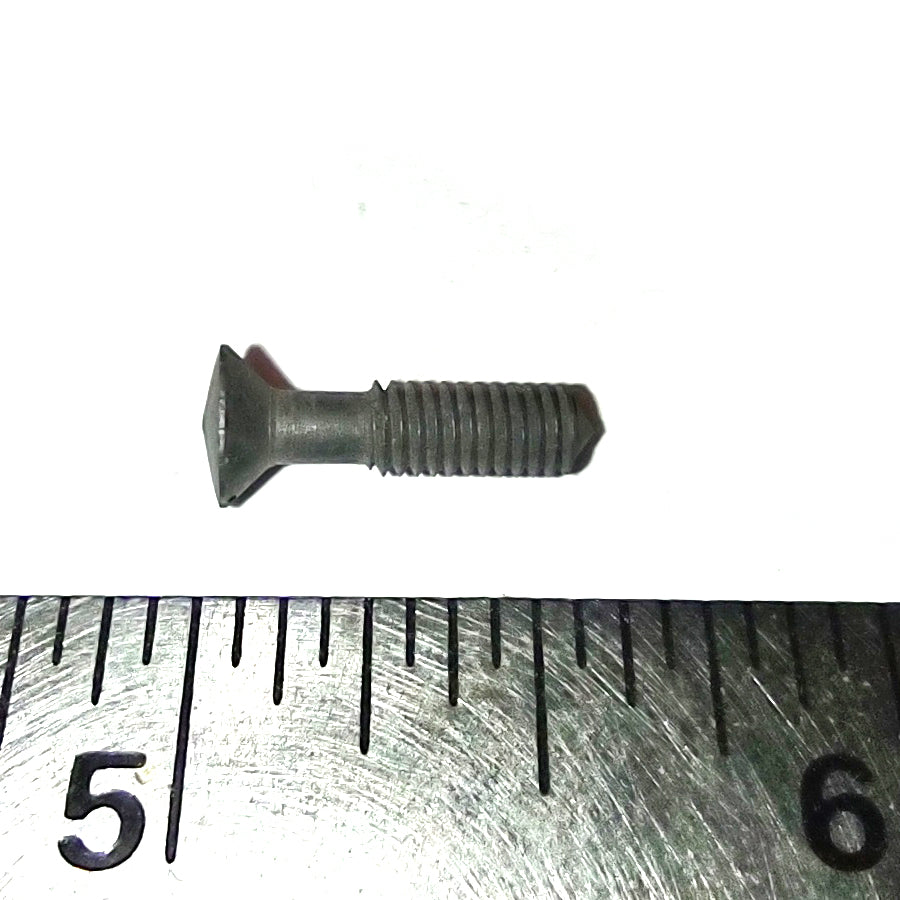 SCREW TAILLIGHT LENS VISOR COVER SCREW GS VSB VBA VBB (VS5 1960-61)