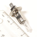 12V 55W H1 Halogen Bulb for MP3 250/400 MP3 500 NON-ABS (580141)