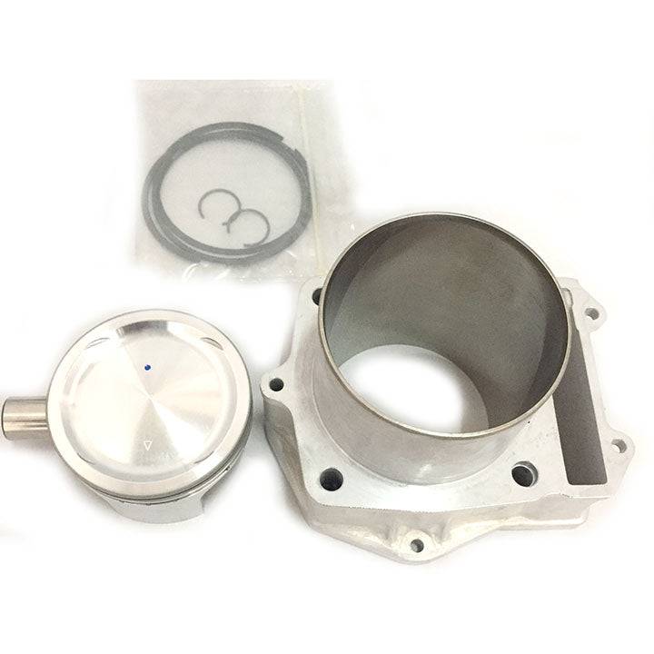 CYLINDER PISTON PIN RING GROUP KIT (873812 B019019) MP3 500 2007-2019