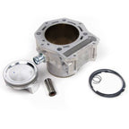 CYLINDER PISTON PIN RING GROUP KIT (873812 B019019) MP3 500 2007-2019