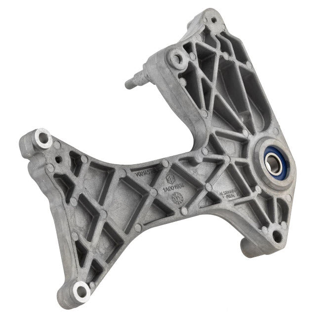 SUSPENSION SWING ARM ASSEMBLY WITH BEARING - GT/GTS/GTV 200/250/300 (599593 597859)