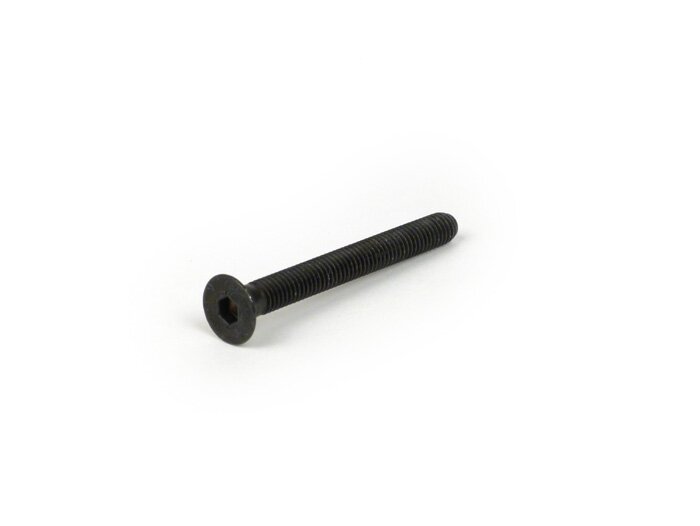 **BLACK** COUNTERSUNK ALLEN M6X55 FOR BAR END (576836 1B006376)