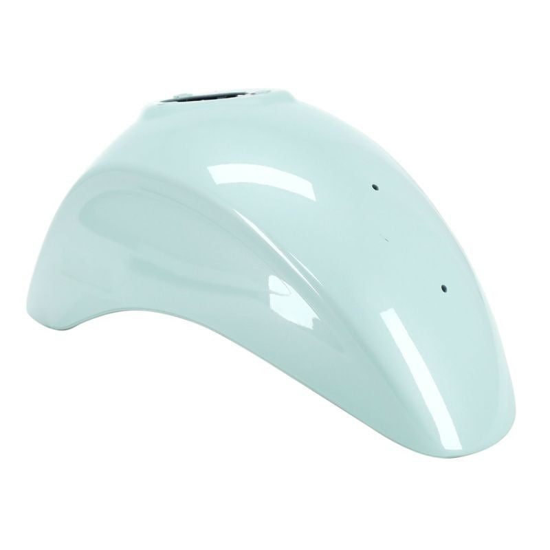 FRONT MUDGUARD VERDE RELAX AMABILE GREEN PRIMAVERA 50 2019-2025 PRIMAVERA 150 2019-2025 (12") 1B003894000VK