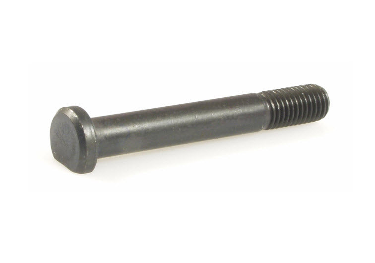 Engine Case Bolt Shortest M7X49MM large frame