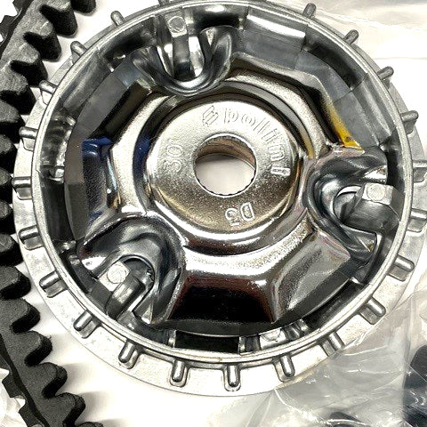POLINI EVOLUTION COMPLETE VARIATOR KIT WITH SPECIAL BELT GTS/GTV 250-300 (INCLUDES 17 GR ROLLERS)