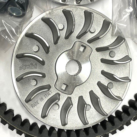POLINI EVOLUTION COMPLETE VARIATOR KIT WITH SPECIAL BELT GTS/GTV 250-300 (INCLUDES 17 GR ROLLERS)