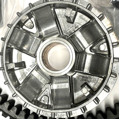 POLINI EVOLUTION COMPLETE VARIATOR KIT WITH SPECIAL BELT GTS/GTV 250-300 (INCLUDES 17 GR ROLLERS)