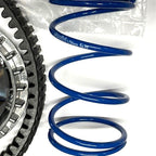 POLINI EVOLUTION COMPLETE VARIATOR KIT WITH SPECIAL BELT GTS/GTV 250-300 (INCLUDES 17 GR ROLLERS)
