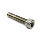 Vespa Stainless Steel Belt/Case Cover Screw Set of 10