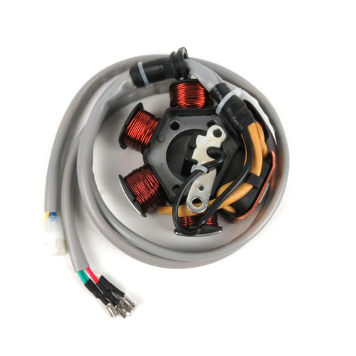 OEM STATOR PLATE -  ET2 TYPHOON 50 2T USA (584526 639865 830294)