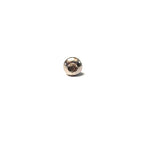 Stainless Screw M5 X 10 - Exhaust Heat Shield and Other Locations