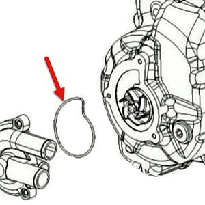 WATER PUMP IMPELLER COVER ORING/PACKING/GASKET FOR GT200 BV200 GTS 250/300CC HPE