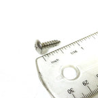#8 x 5/8" Stainless Steel Self Tapping Screw (015911)