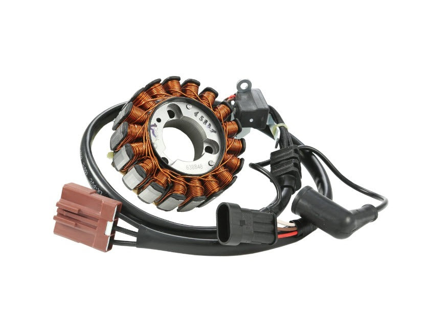 Stator Plate Vespa GTS 250, GTS 300 MP3 250 & BV250ie (638848 873034)