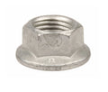 Nut Rear Rotor to Hub GT/GTS (6MM Flange Lock Nut)