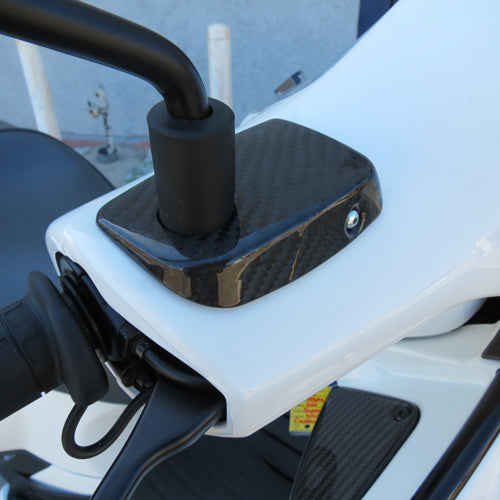 Carbon Fiber Master Cylinder Covers (pair) - GTS/GTV/300 Super