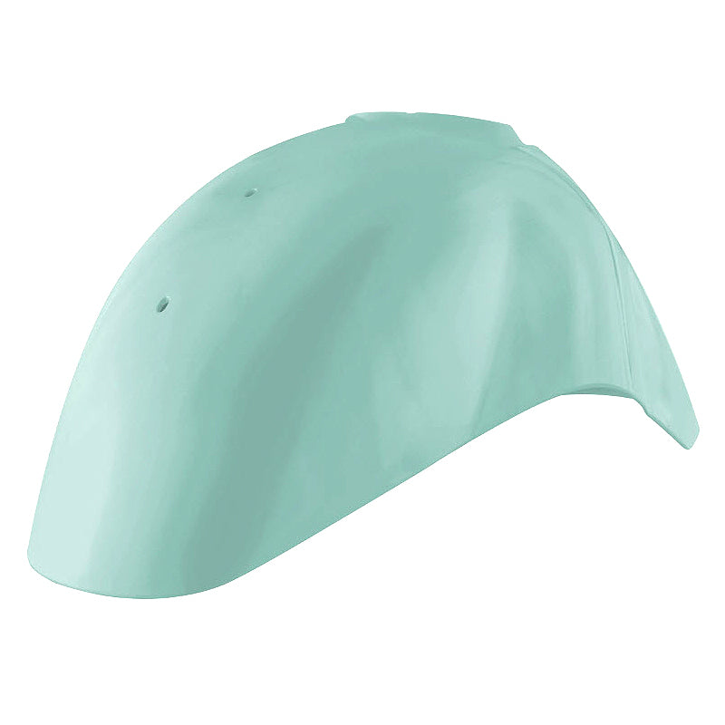 **VERDE AMABILE** 350/A (VERDE RELAX MINT GREEN)** 350/A FRONT FENDER GTS 300 HPE 2020-2022