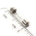 6 Volt 2 Watt 29mm Festoon Bulb