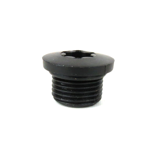 Timing Hole Plug Bolt Vespa GTS