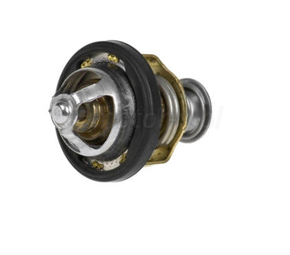THERMOSTAT UNIT 2005 & OLDER X9 BV 500
