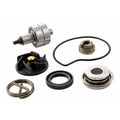 Water Pump Overhaul Kit Vespa and Piaggio 250-300 (8447595-KIT)