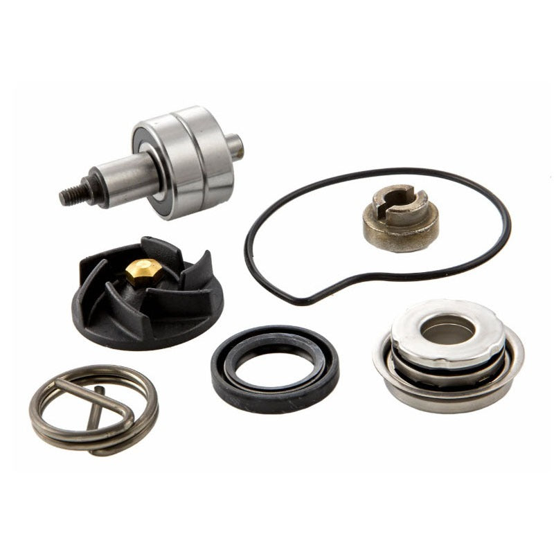 Water Pump Overhaul Kit Vespa and Piaggio 250-300 (8447595-KIT)
