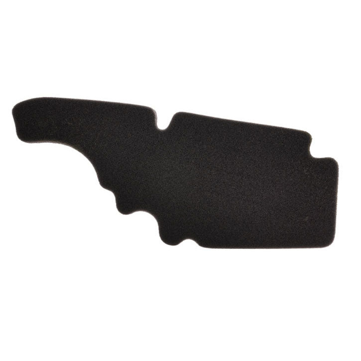 AIR FILTER - LX50/LX150/TYPHOON 50-125/FLY 50-150 2V S50-S150 (ET4 SEE 487401)