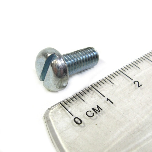 Seat Strap Screw