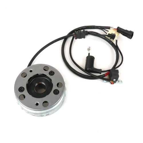 Stator & Flywheel Fly 150 3-Valve