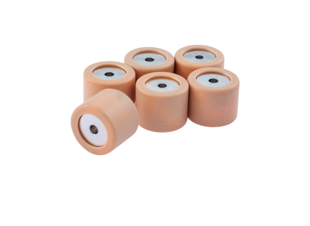 OEM ROLLER SET 19X15.5MM 5.4GR - PRIMAVERA/SPRINT/FLY/TYPHOON 50CC 4V