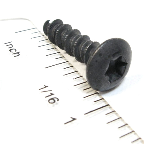 #10 X 3/4 Torx Thread Forming Screw Black