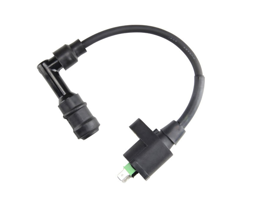 COMPLETE H.T. COIL WITH WIRE AND CAP -  PRIMAVERA/SPRINT 50 3Vie 2020 & NEWER