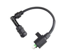 COMPLETE H.T. COIL WITH WIRE AND CAP -  PRIMAVERA/SPRINT 50 3Vie 2020 & NEWER
