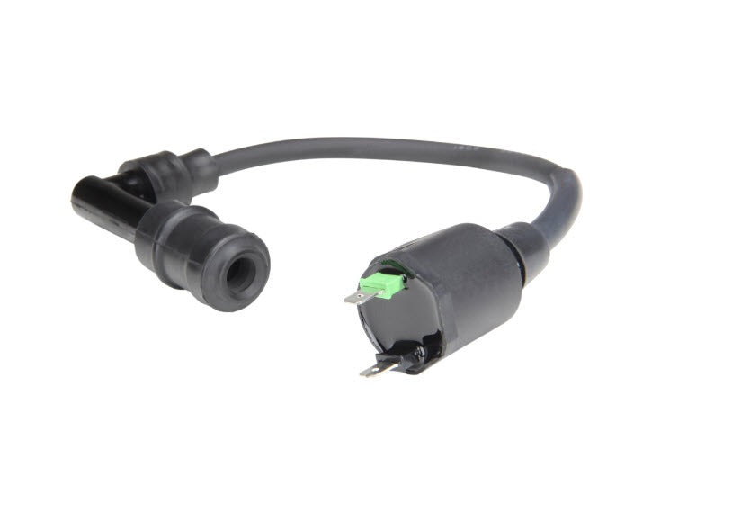 COMPLETE H.T. COIL WITH WIRE AND CAP -  PRIMAVERA/SPRINT 50 3Vie 2020 & NEWER