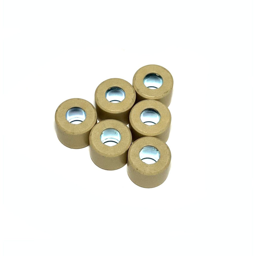 14 GRAM (21X17) VARIATOR ROLLERS (WEIGHTS) (SET OF SIX) GTS310 2025-