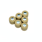 14 GRAM (21X17) VARIATOR ROLLERS (WEIGHTS) (SET OF SIX) GTS310 2025-