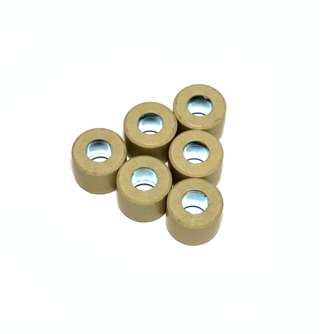 14 GRAM (21X17) VARIATOR ROLLERS (WEIGHTS) (SET OF SIX) GTS310 2025-