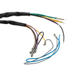 WIRING HARNESS EURO SPEC RALLY 200 AC WITHOUT BATTERY **KILL SWITCH BELOW SEAT** W/ WIRING DIAGRAM