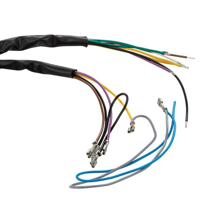 WIRING HARNESS EURO SPEC RALLY 200 AC WITHOUT BATTERY **KILL SWITCH BELOW SEAT** W/ WIRING DIAGRAM