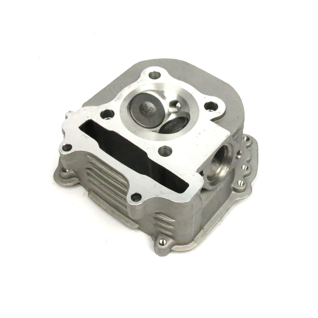 CYLINDER HEAD COMPLETE WITH VALVES-BUDDY (USE 003971 FOR EXH STUDS)