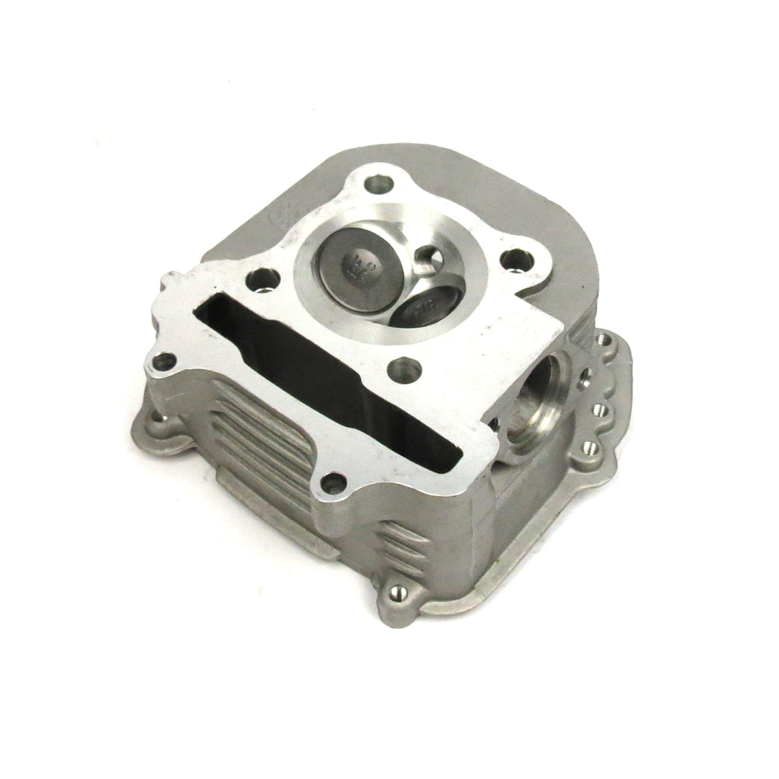 CYLINDER HEAD COMPLETE WITH VALVES-BUDDY (USE 003971 FOR EXH STUDS)