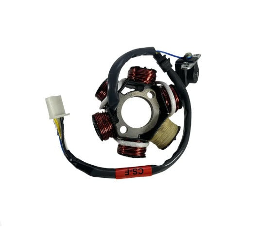 STATOR PLATE ASSEMBLY - BUDDY 125CC BUDDY 150CC