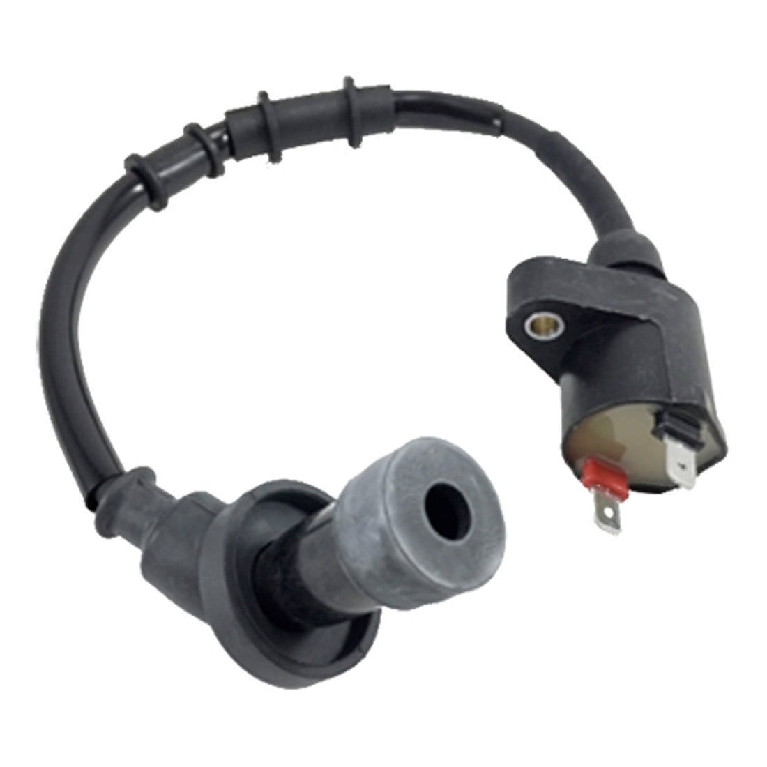 IGNITION COIL WITH CAP AND WIRE GENUINE BUDDY 125 150