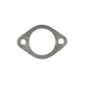 CHAIN TENSIONER GASKET-BUDDY 150 170 (BUDDY 125 USE 834254)