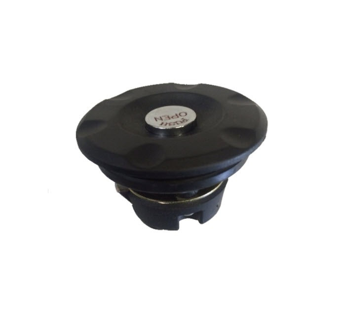 Gas Cap Genuine Buddy 170i