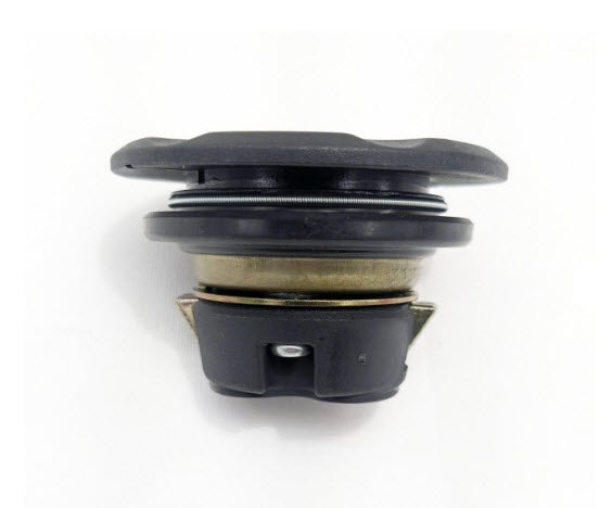 Gas Cap Genuine Buddy 170i